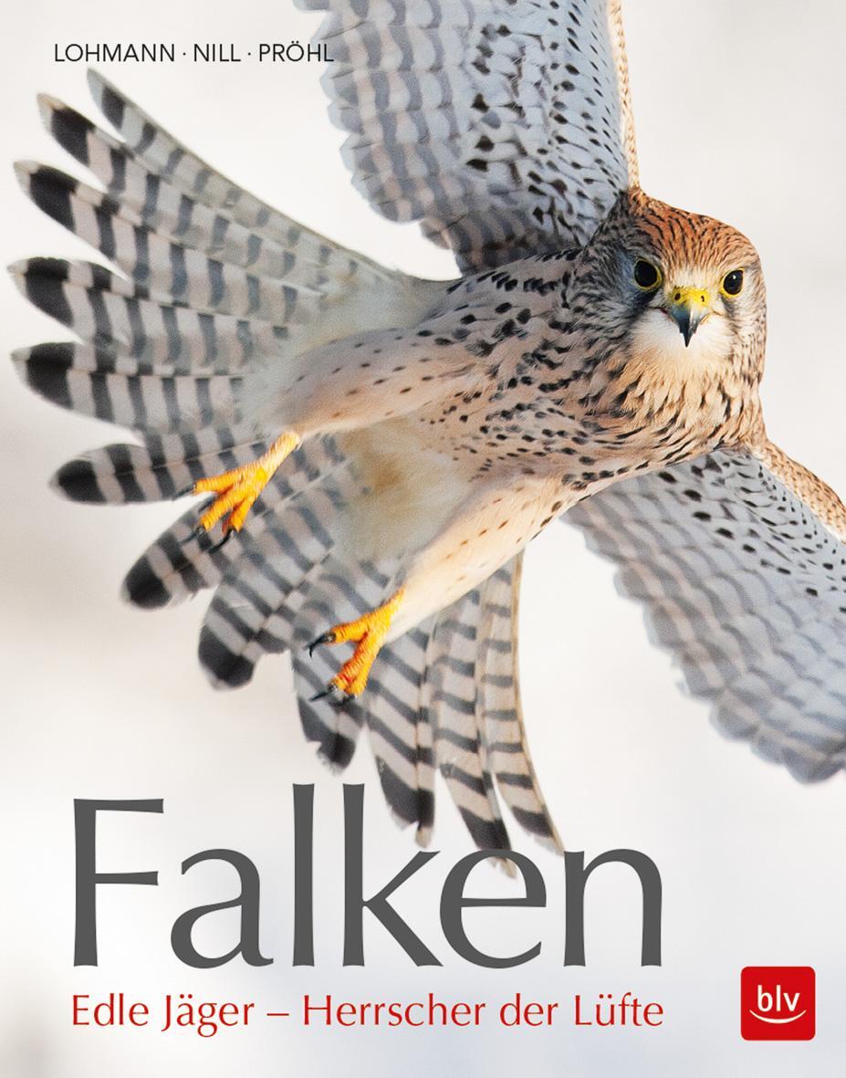Cover: 9783835418776 | Falken | Edle Jäger - Herrscher der Lüfte | Michael Lohmann | Buch