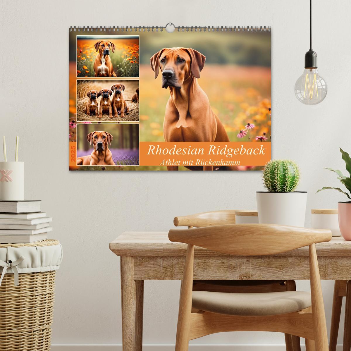 Bild: 9783457146064 | Rhodesian Ridgeback - Athlet mit Rückenkamm (Wandkalender 2025 DIN...