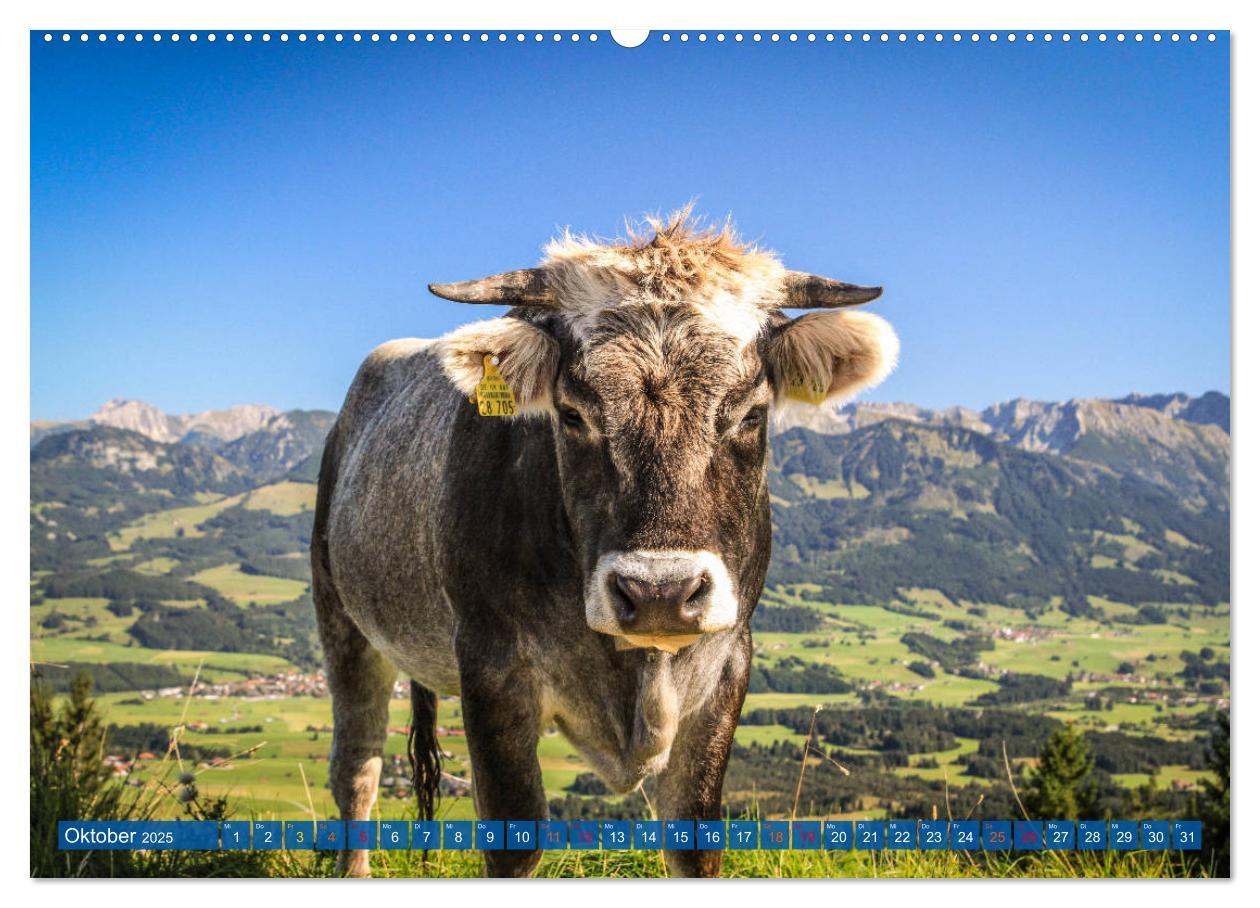 Bild: 9783435191963 | Allgäu - Perle im Süden (Wandkalender 2025 DIN A2 quer), CALVENDO...