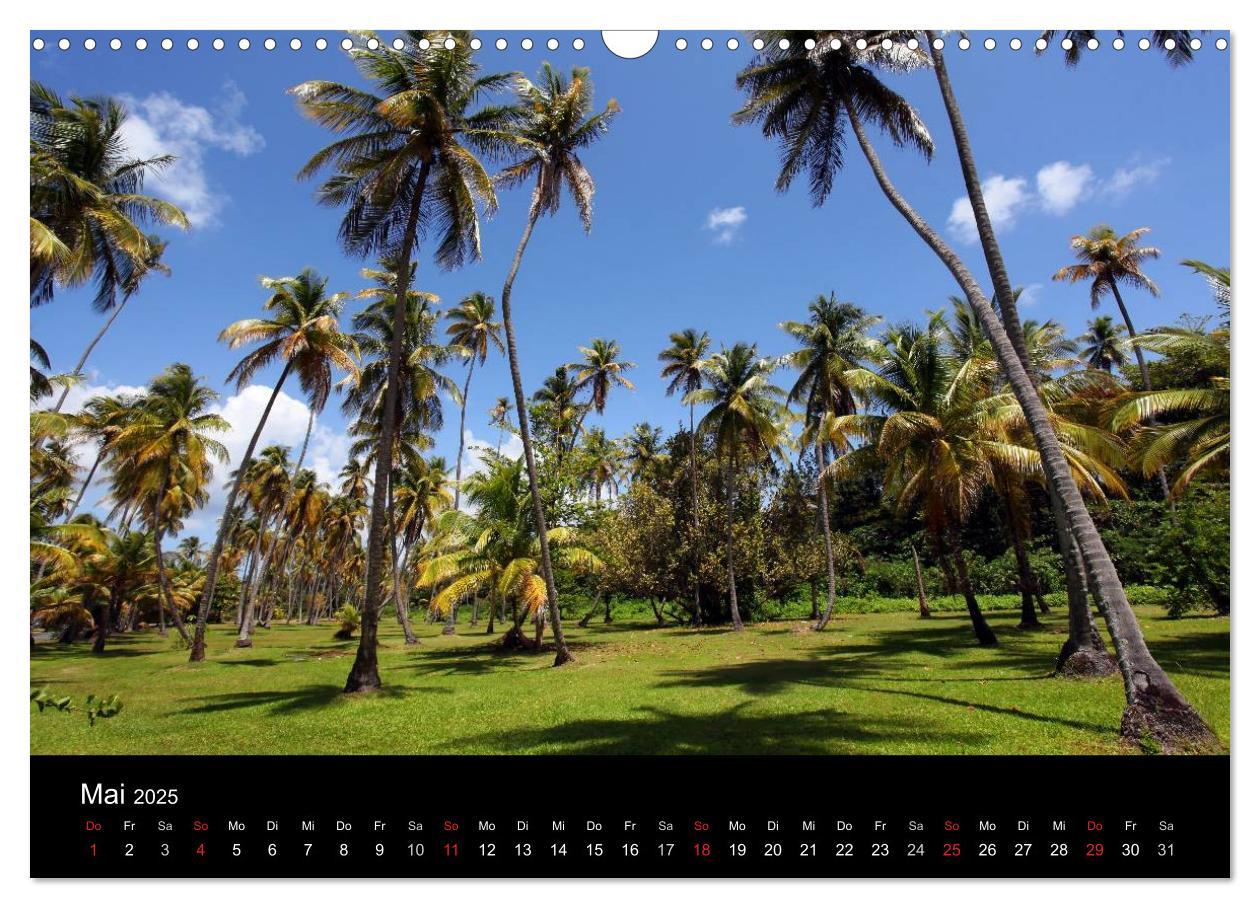 Bild: 9783435810345 | Trinidad &amp; Tobago (Wandkalender 2025 DIN A3 quer), CALVENDO...