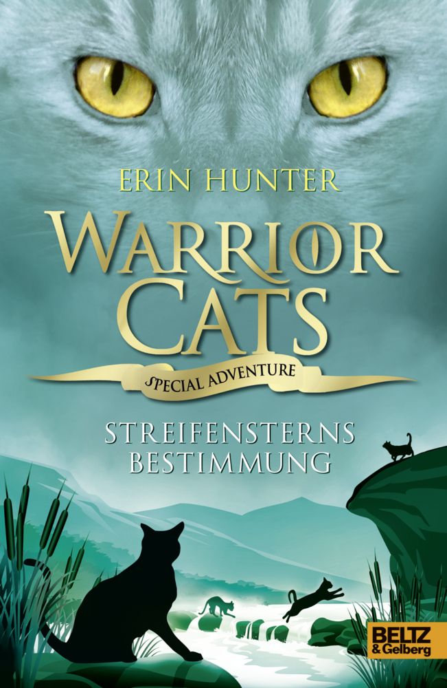 Cover: 9783407811721 | Warrior Cats, Special Adventure, Streifensterns Bestimmung | Hunter