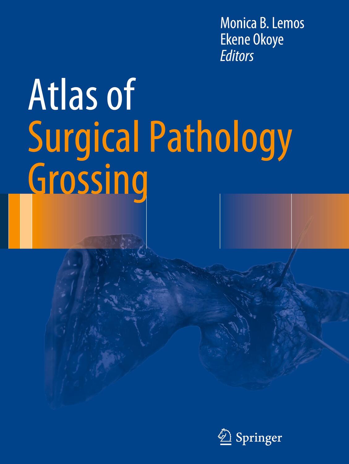 Cover: 9783030208387 | Atlas of Surgical Pathology Grossing | Monica B. Lemos (u. a.) | Buch