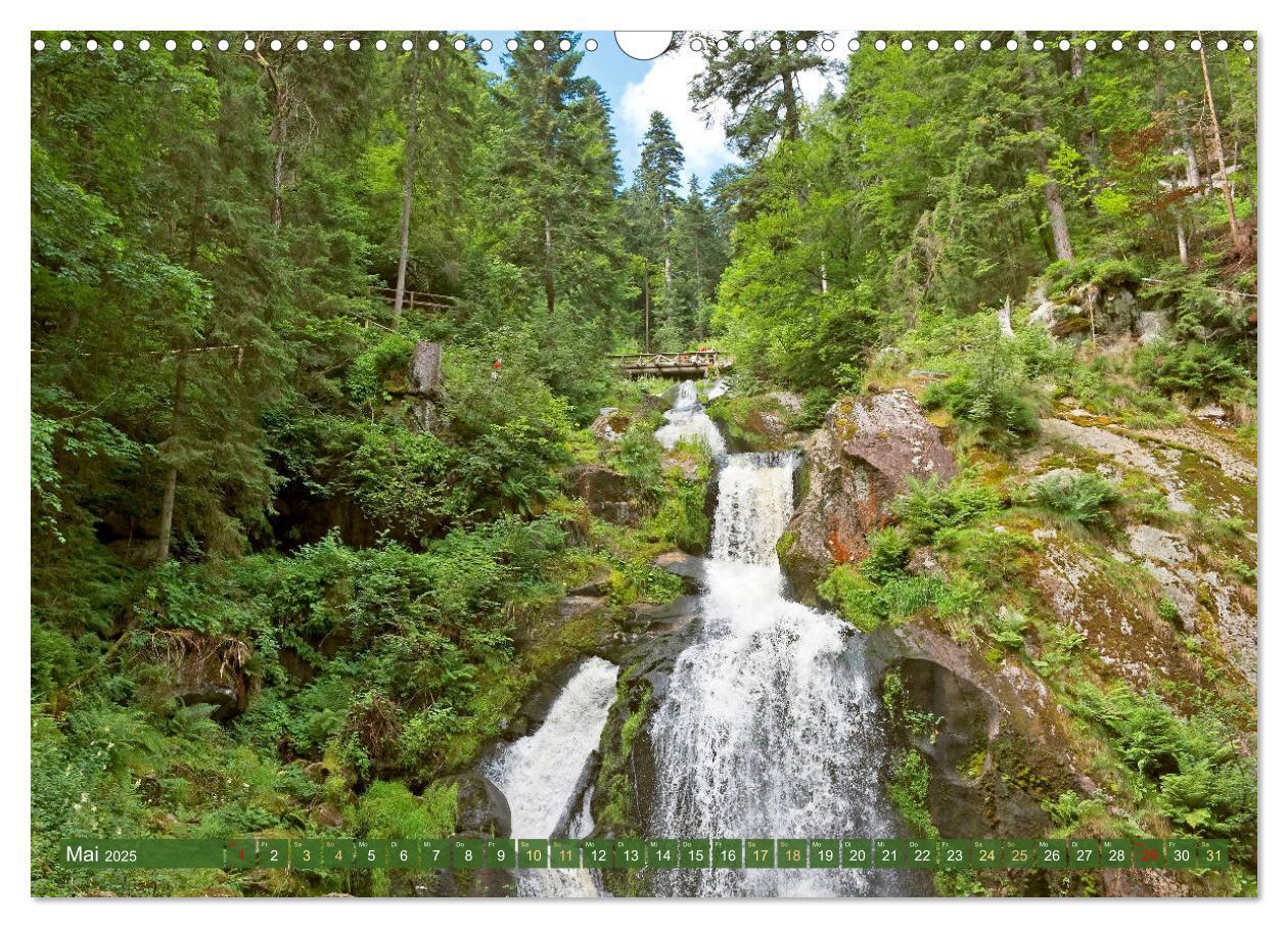 Bild: 9783435468416 | Schwarzwald - Märchenwald (Wandkalender 2025 DIN A3 quer), CALVENDO...