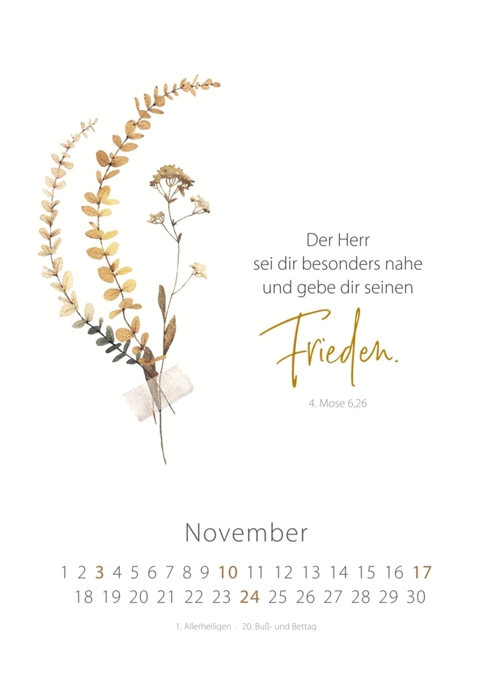 Bild: 9783986950125 | SegensRegen 2024 - Tischkalender | Kalender | 13 S. | Deutsch | 2024