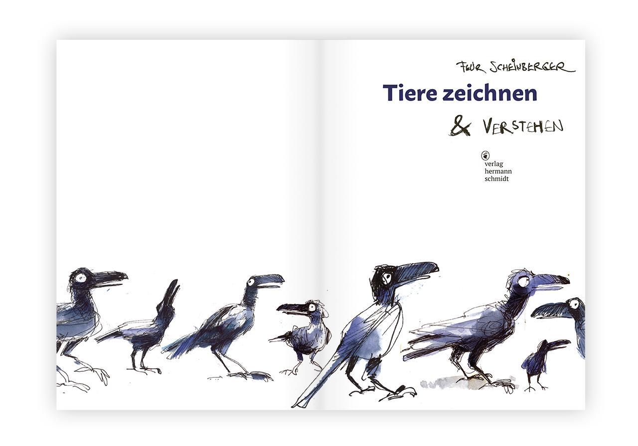 Bild: 9783874399661 | Tiere zeichnen und verstehen | Felix Scheinberger | Buch | 168 S.