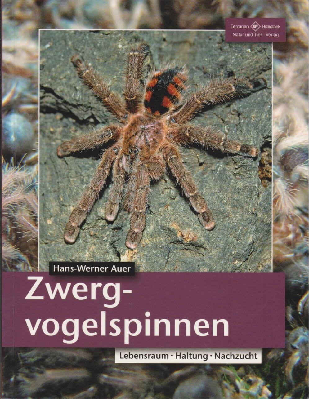 Cover: 9783866591646 | Zwergvogelspinnen | Lebensraum, Haltung, Nachzucht | Hans-Werner Auer
