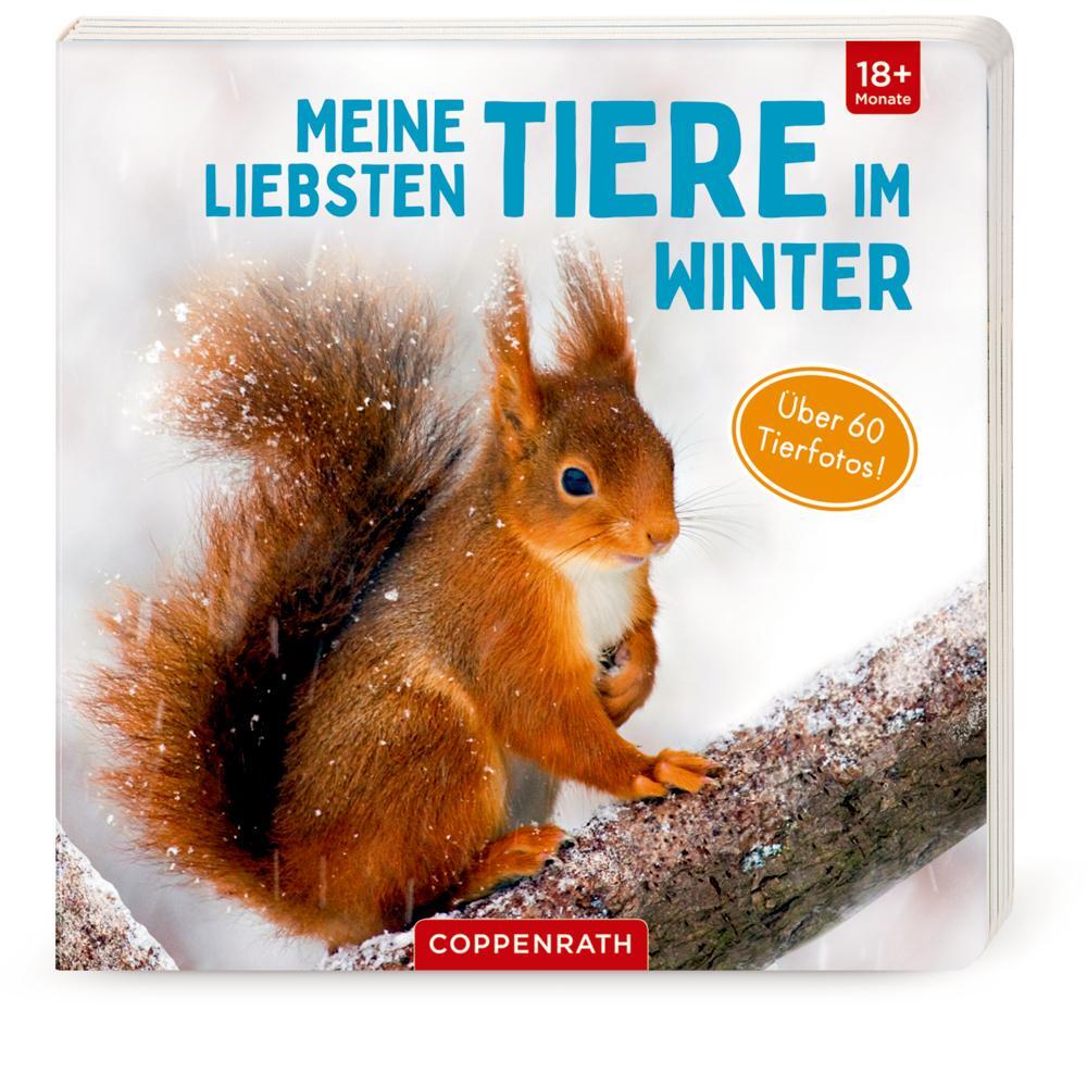 Cover: 9783649639190 | Meine liebsten Tiere im Winter | Buch | Deutsch | 2021 | Coppenrath