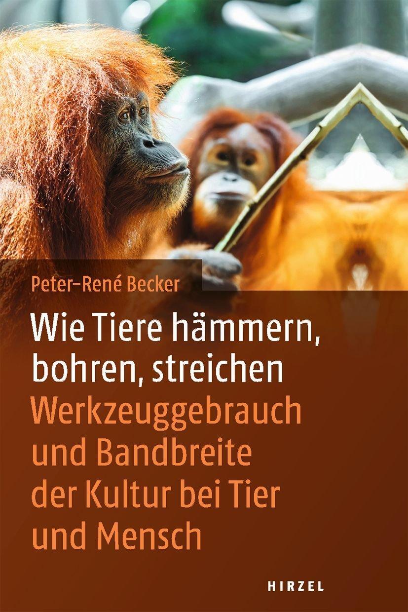 Cover: 9783777628486 | Wie Tiere hämmern, bohren, streichen | Peter-Rene Becker | Buch | 2020