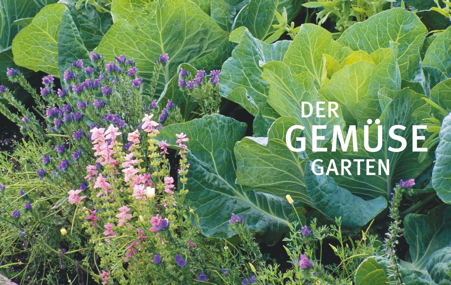 Bild: 9783833877827 | Reiche Ernte | Christel Rupp | Buch | GU Garten extra | 240 S. | 2021