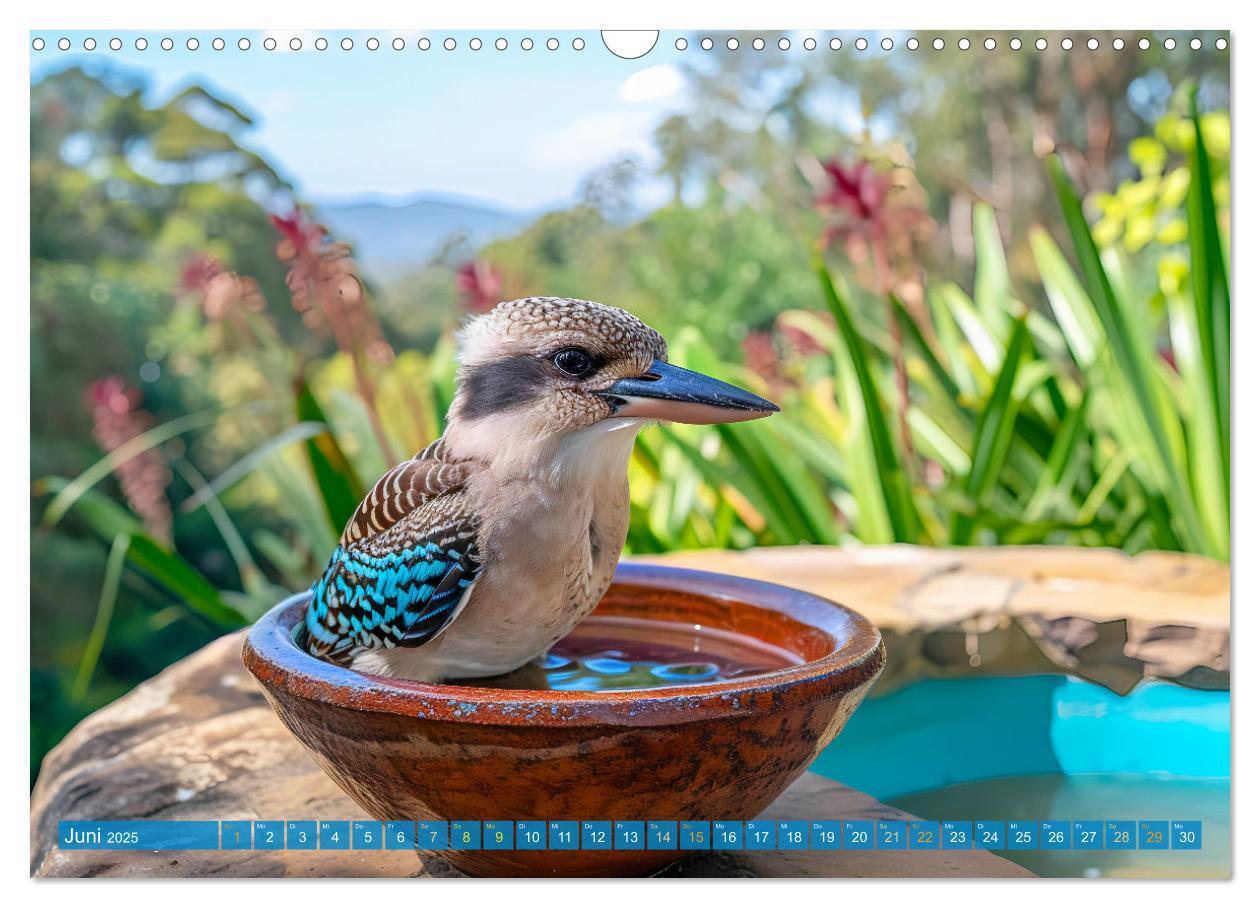 Bild: 9783383777899 | Der Kookaburra - Im australischen Busch mit dem lachenden Hans...