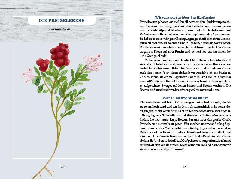 Bild: 9783710402074 | Unser heimisches Superfood | Elisabeth Dießl (u. a.) | Buch | Deutsch
