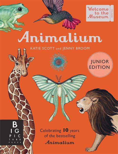 Cover: 9781800783706 | Animalium (Junior Edition) | Jenny Broom | Buch | 80 S. | Englisch