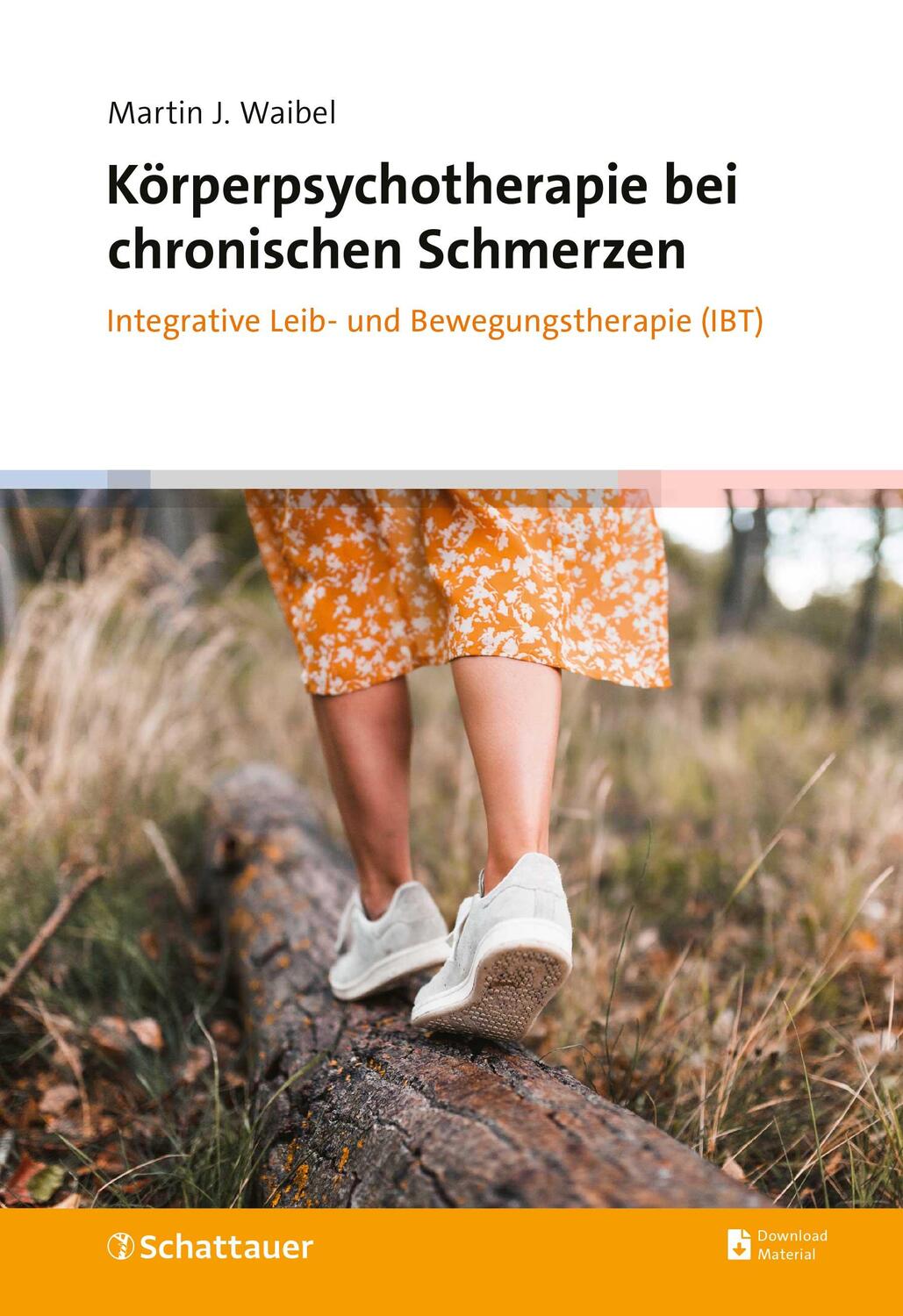 Cover: 9783608401554 | Körperpsychotherapie bei chronischen Schmerzen | Martin J. Waibel