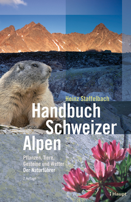 Cover: 9783258076386 | Handbuch Schweizer Alpen | Heinz Staffelbach | Taschenbuch | 2011