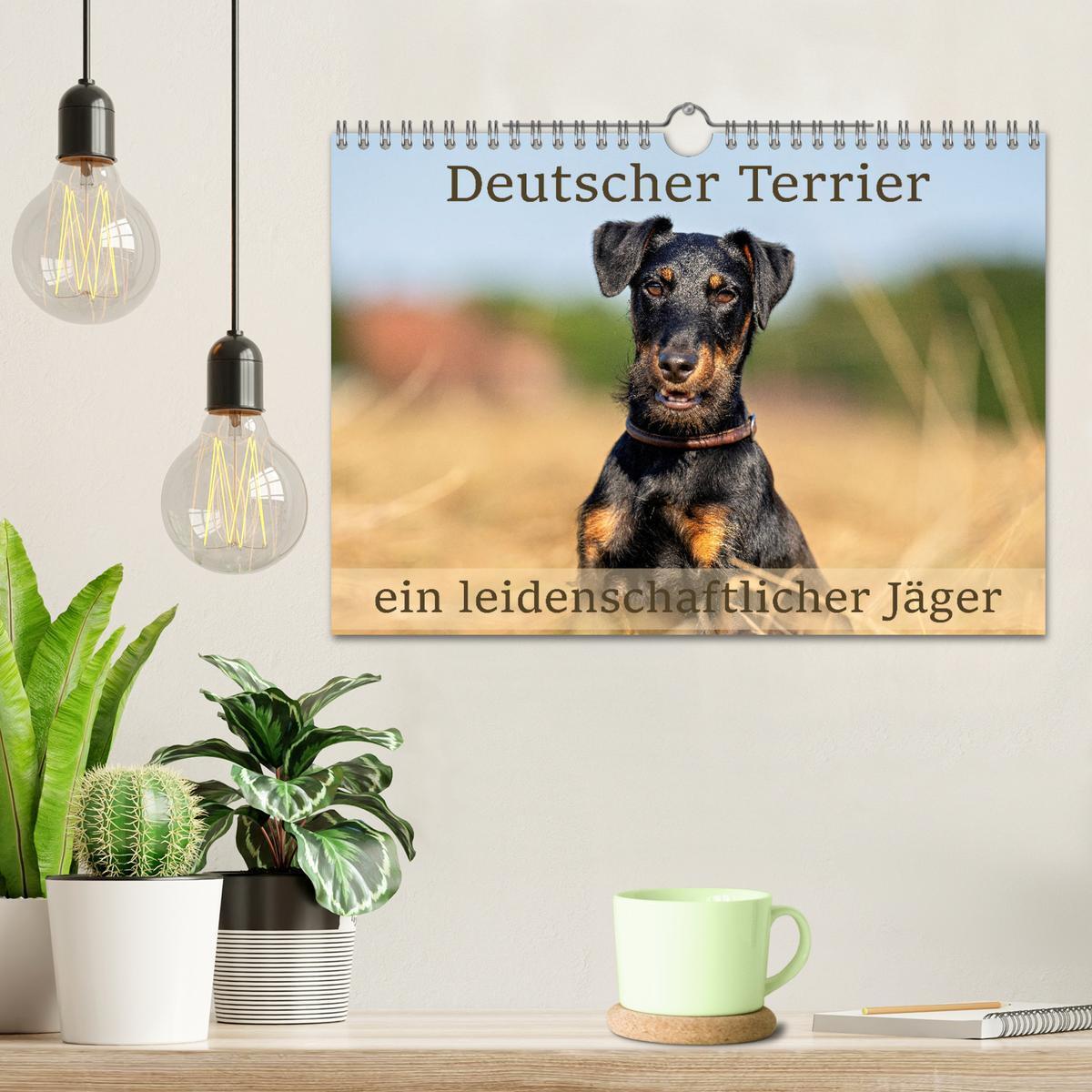 Bild: 9783457190043 | Deutscher Terrier - ein leidenschaftlicher Jäger (Wandkalender 2025...