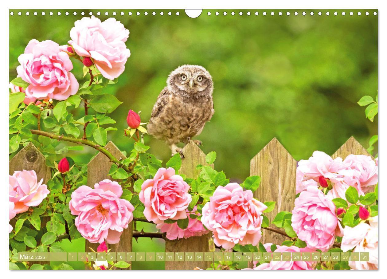 Bild: 9783457183779 | Wald-Kindergarten: Tierkinder im Wald (Wandkalender 2025 DIN A3...