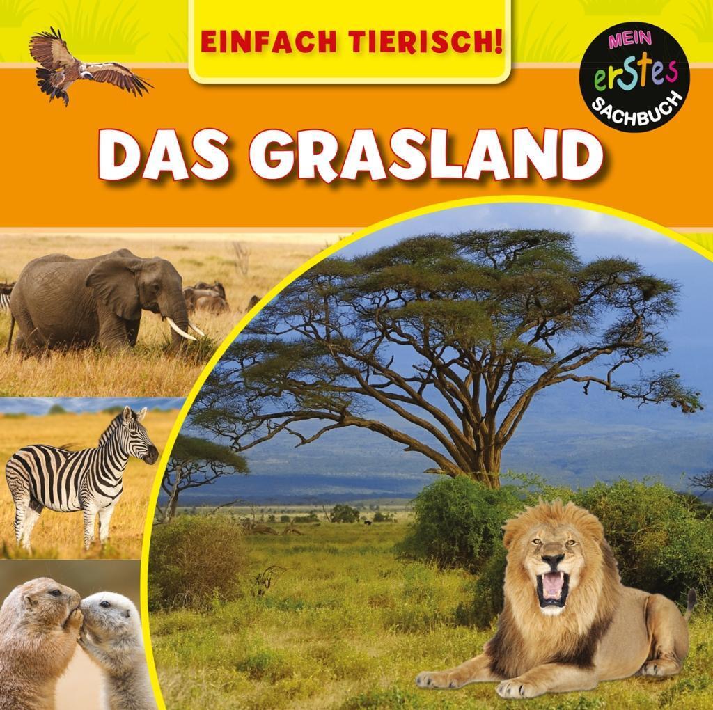 Cover: 9789463410687 | Das Grasland | Mary-Jane Wilkins | Buch | 24 S. | Deutsch | 2017