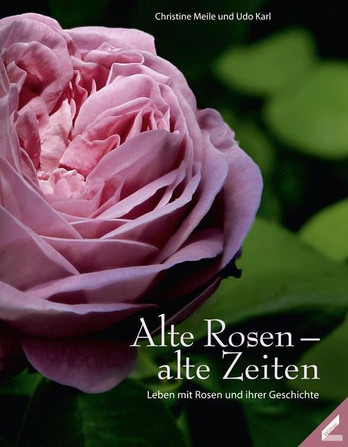 Cover: 9783896399311 | Alte Rosen - alte Zeiten | Leben mit Rosen und ihren Geschichten