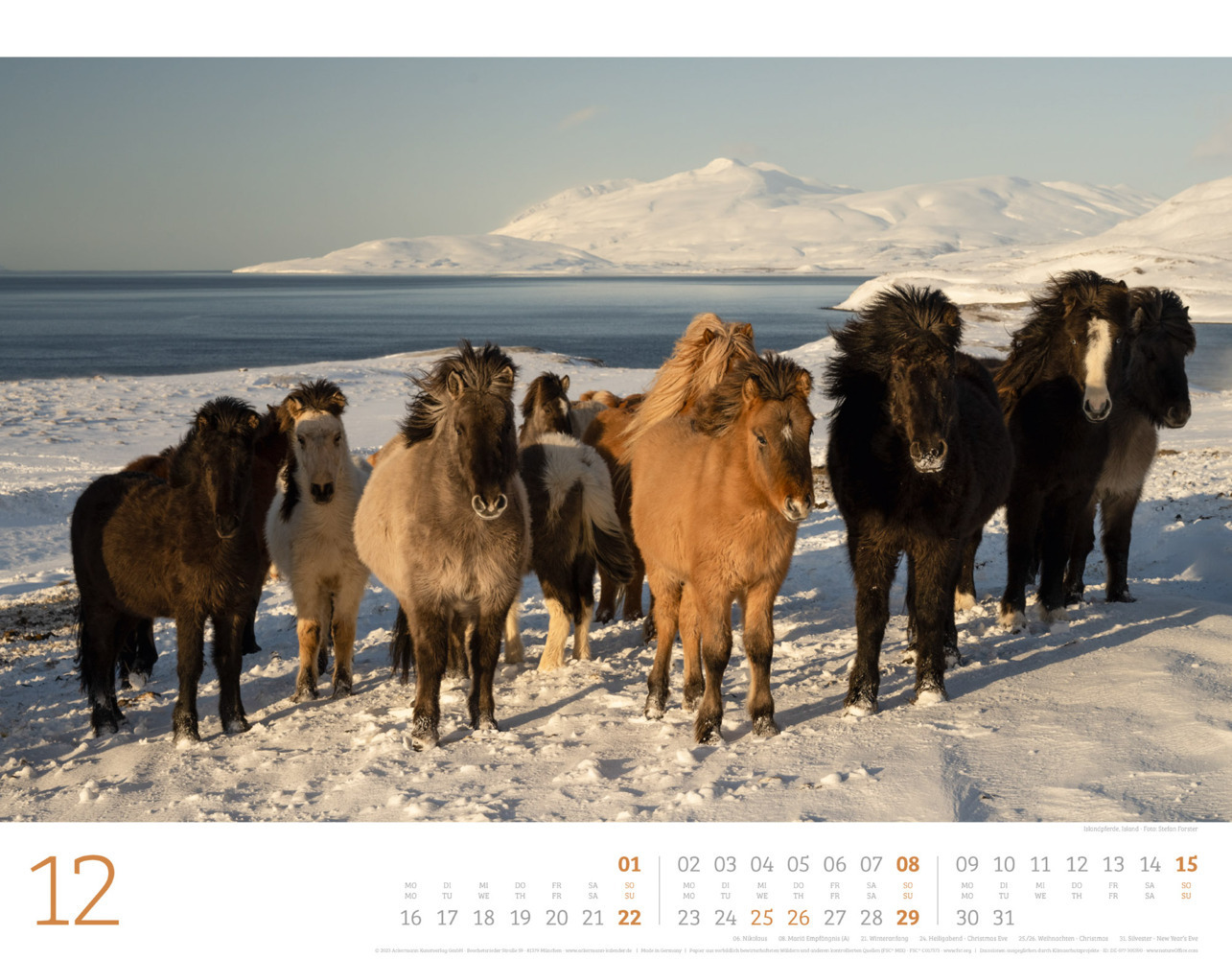 Bild: 9783838434087 | Wilde Pferde Kalender 2024 | Ackermann Kunstverlag | Kalender | 14 S.