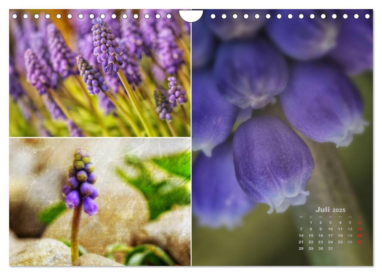 Bild: 9783435612406 | Blumenreise 2025 (Wandkalender 2025 DIN A4 quer), CALVENDO...