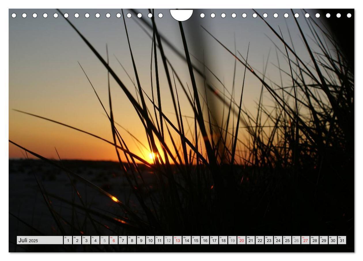 Bild: 9783435491285 | Amrum ¿ Trauminsel in der Nordsee (Wandkalender 2025 DIN A4 quer),...