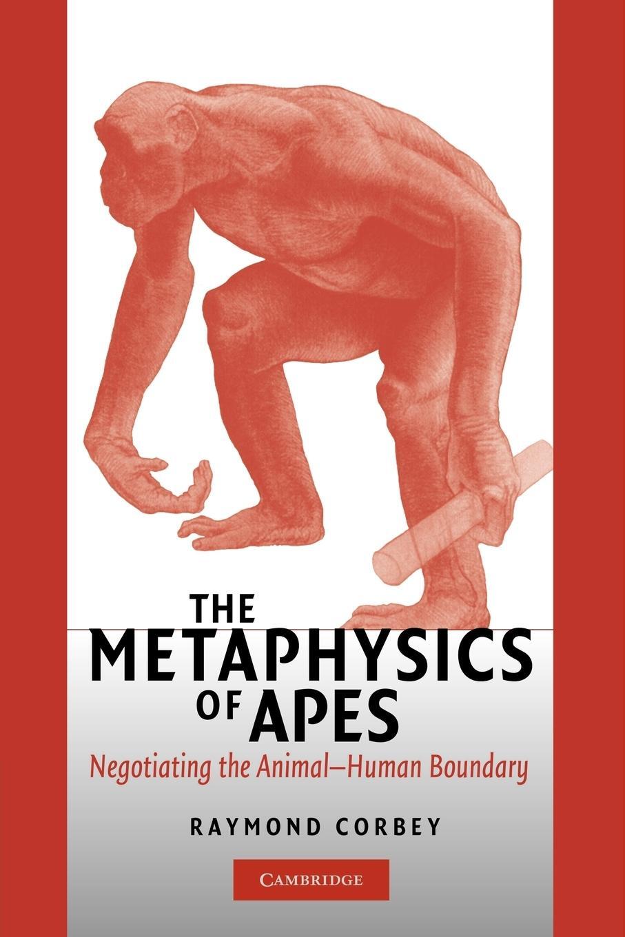 Cover: 9780521545334 | The Metaphysics of Apes | Negotiating the Animal-Human Boundary | Buch