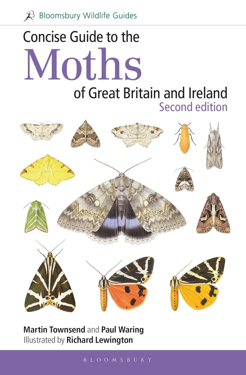 Cover: 9781472957283 | Concise Guide to the Moths of Great Britain and Ireland: Second...