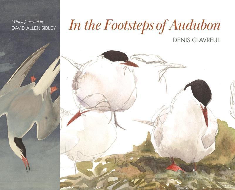 Cover: 9780691237688 | In the Footsteps of Audubon | Denis Clavreul | Buch | Gebunden | 2022