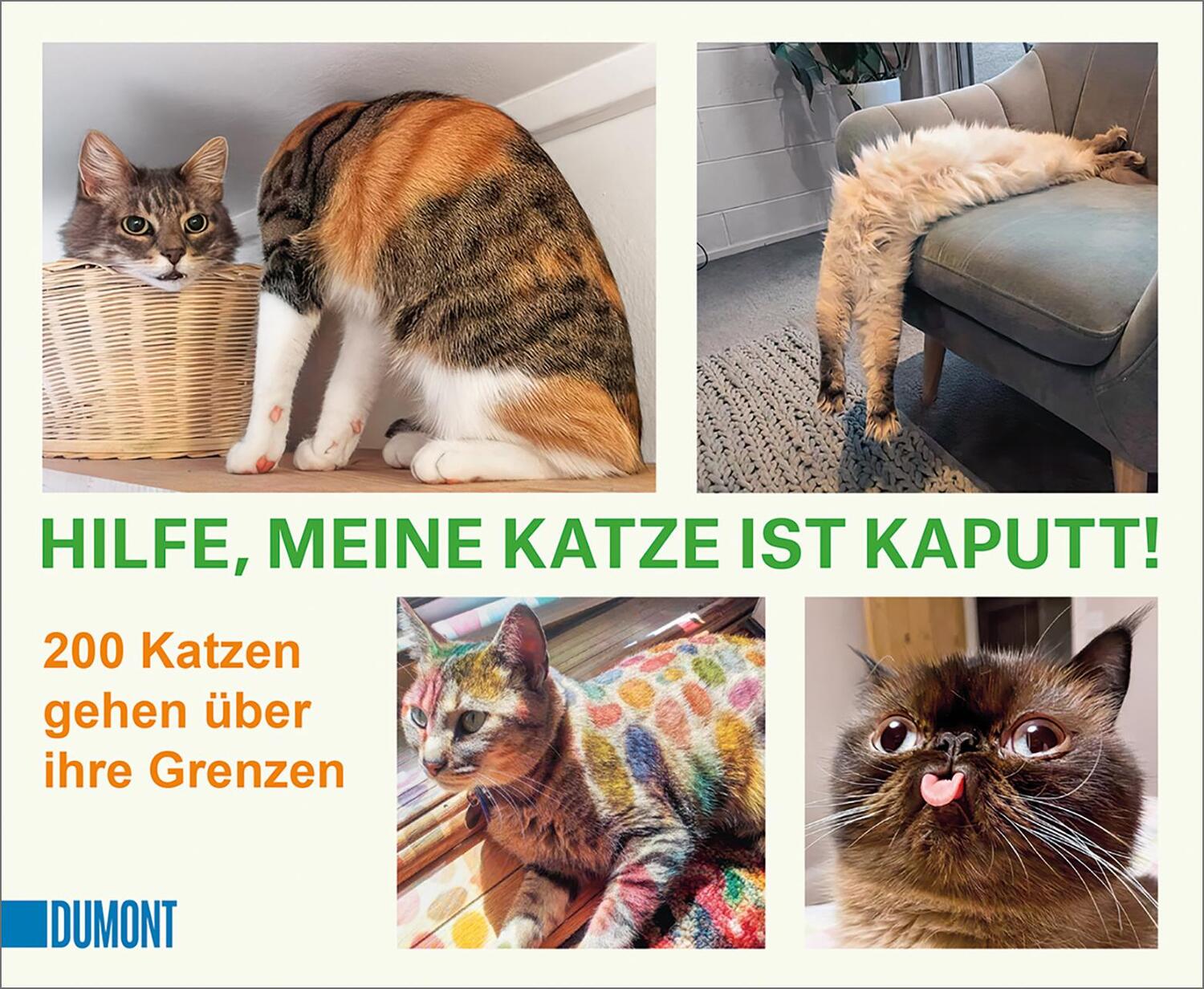 Cover: 9783832169350 | Hilfe, meine Katze ist kaputt | 200 Katzen gehen über ihre Grenzen