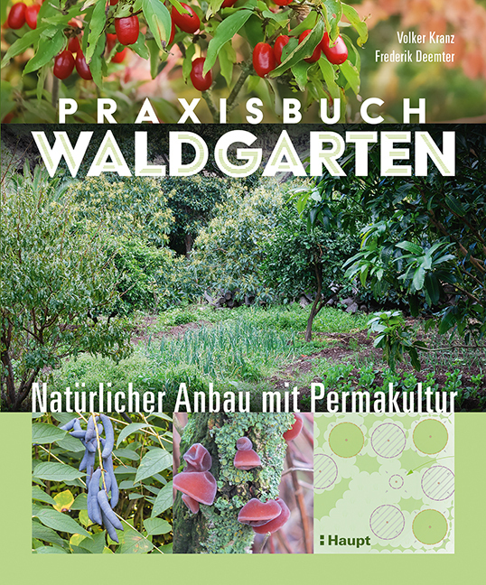 Cover: 9783258082400 | Praxisbuch Waldgarten | Natürlicher Anbau mit Permakultur | Buch