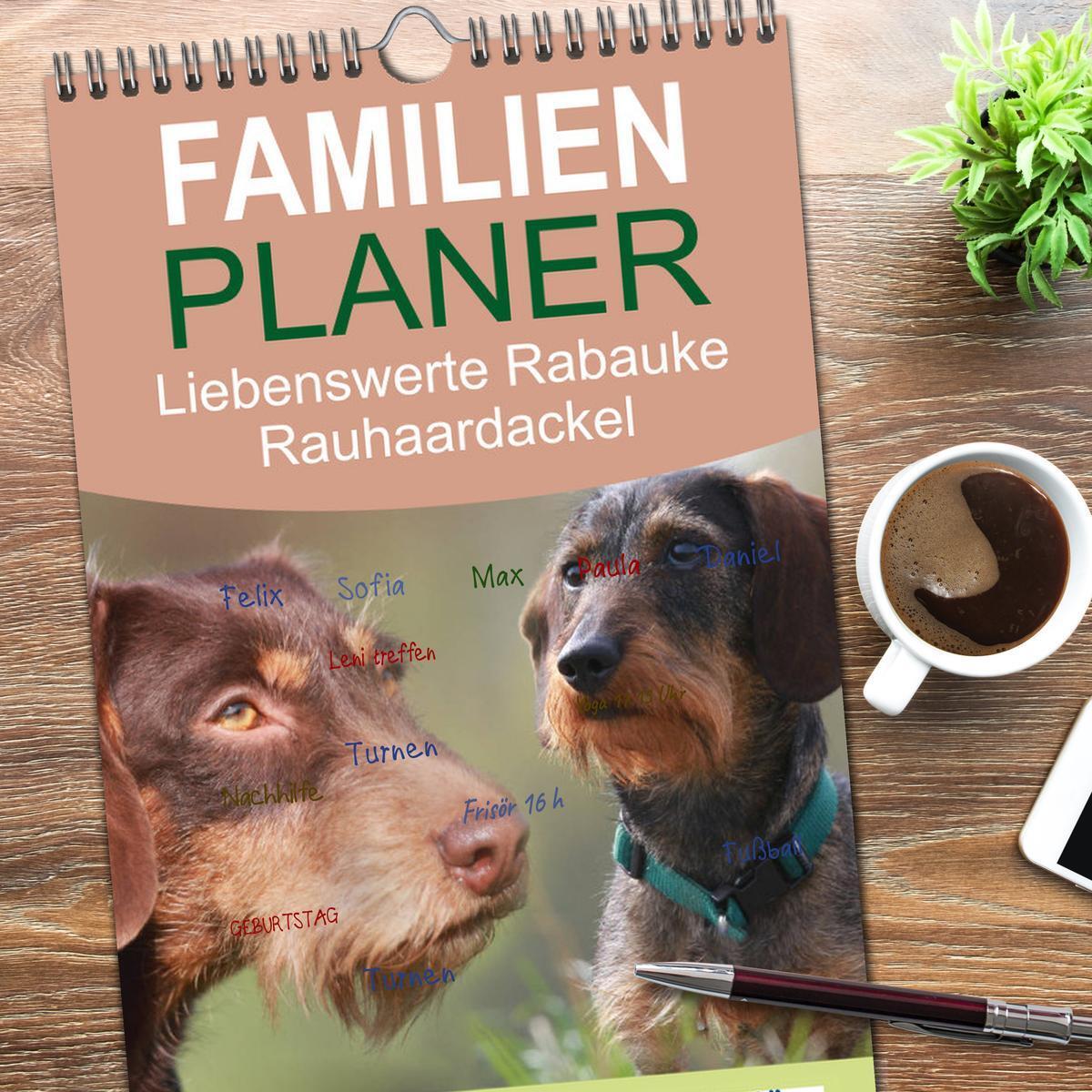 Bild: 9783457114797 | Familienplaner 2025 - Liebenswerte Rabauken - Rauhaardackel mit 5...