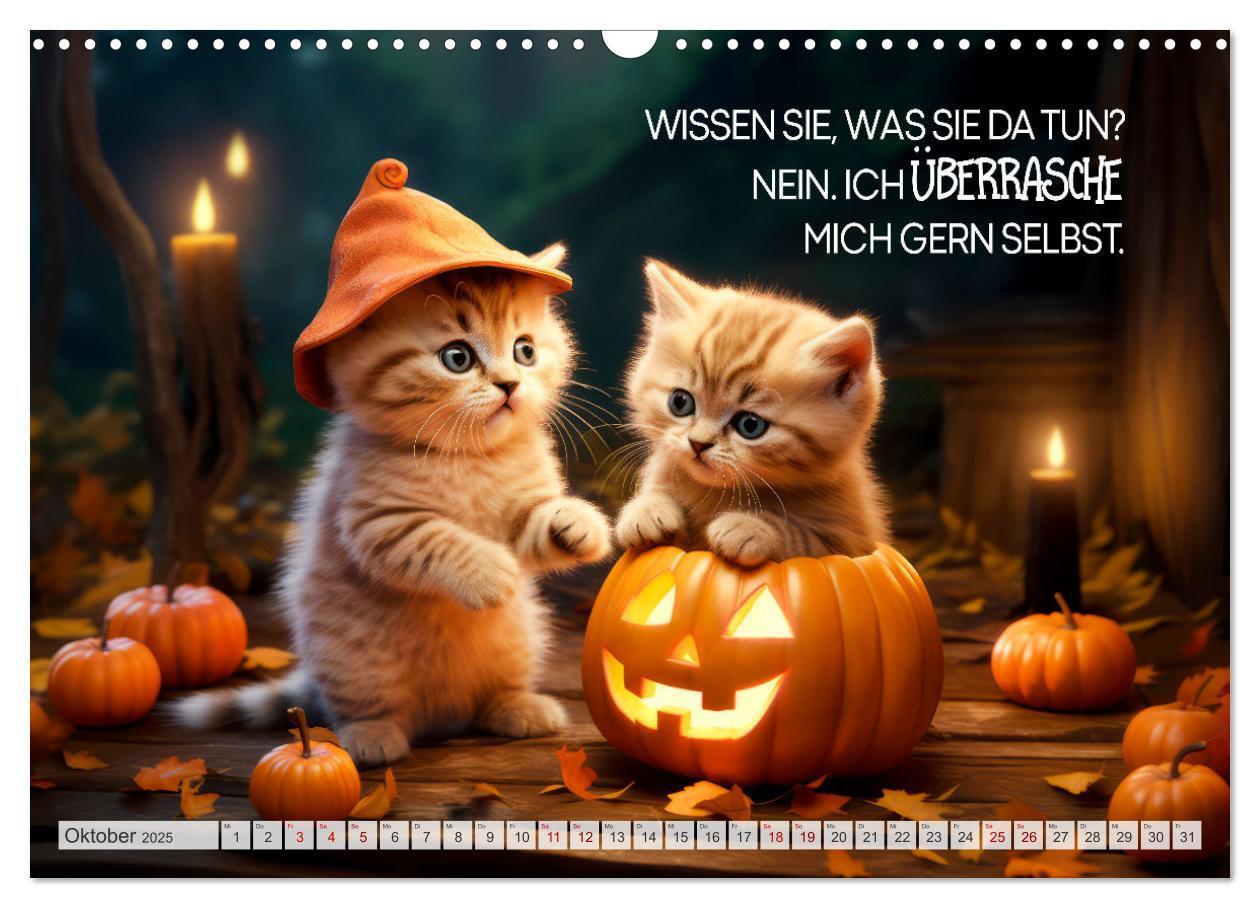 Bild: 9783383773457 | Süße Katzen und coole Sprüche (Wandkalender 2025 DIN A3 quer),...