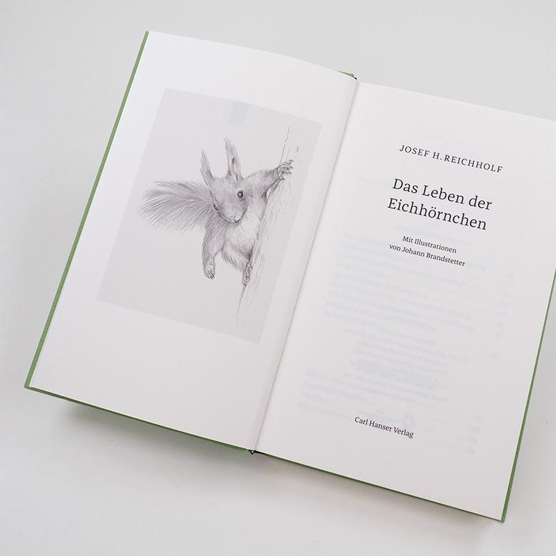 Bild: 9783446264076 | Das Leben der Eichhörnchen | Josef H. Reichholf | Buch | Deutsch