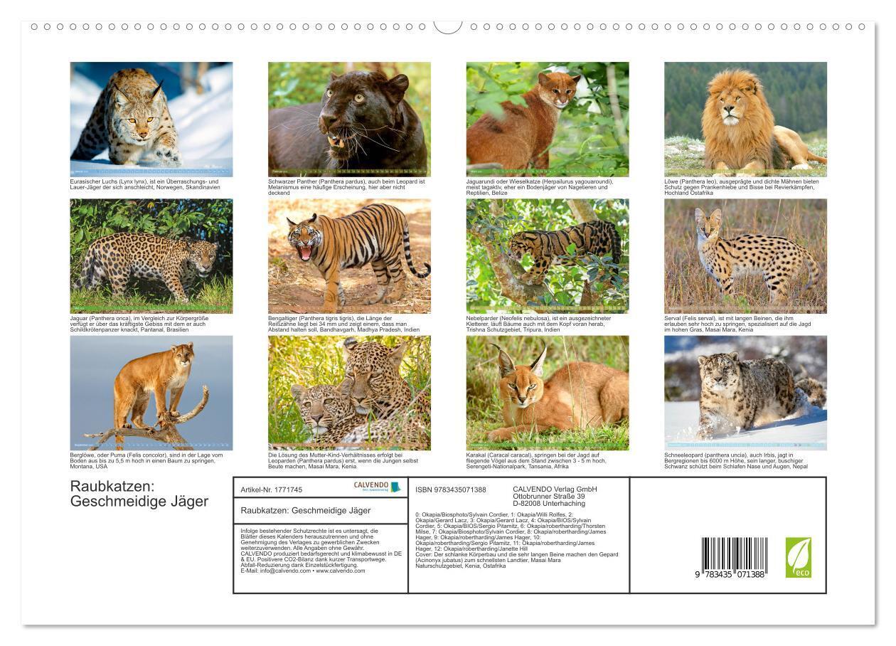 Bild: 9783435071388 | Raubkatzen: Geschmeidige Jäger (hochwertiger Premium Wandkalender...