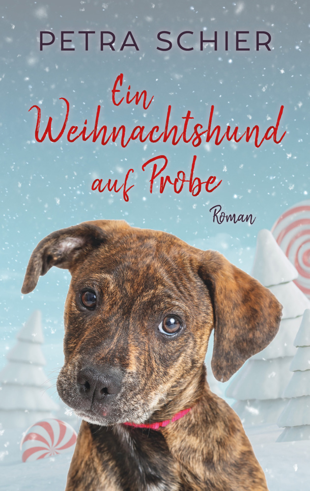 Cover: 9783967119619 | Ein Weihnachtshund auf Probe | Petra Schier | Taschenbuch | 2022