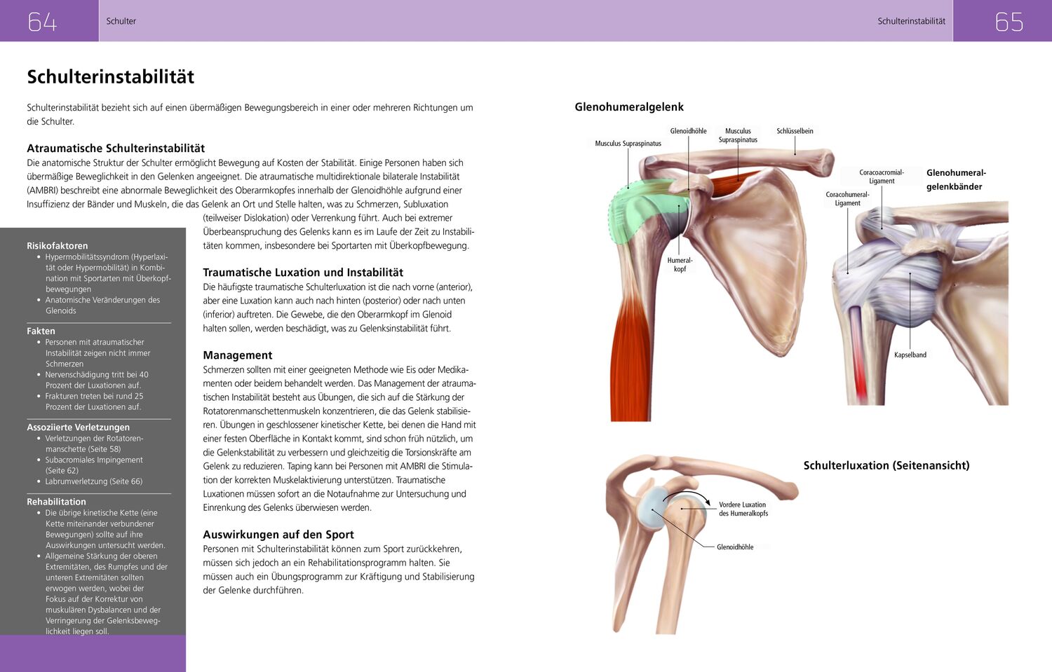 Bild: 9789463597975 | Die Anatomie der Sportverletzungen | Anna Barnsley | Taschenbuch