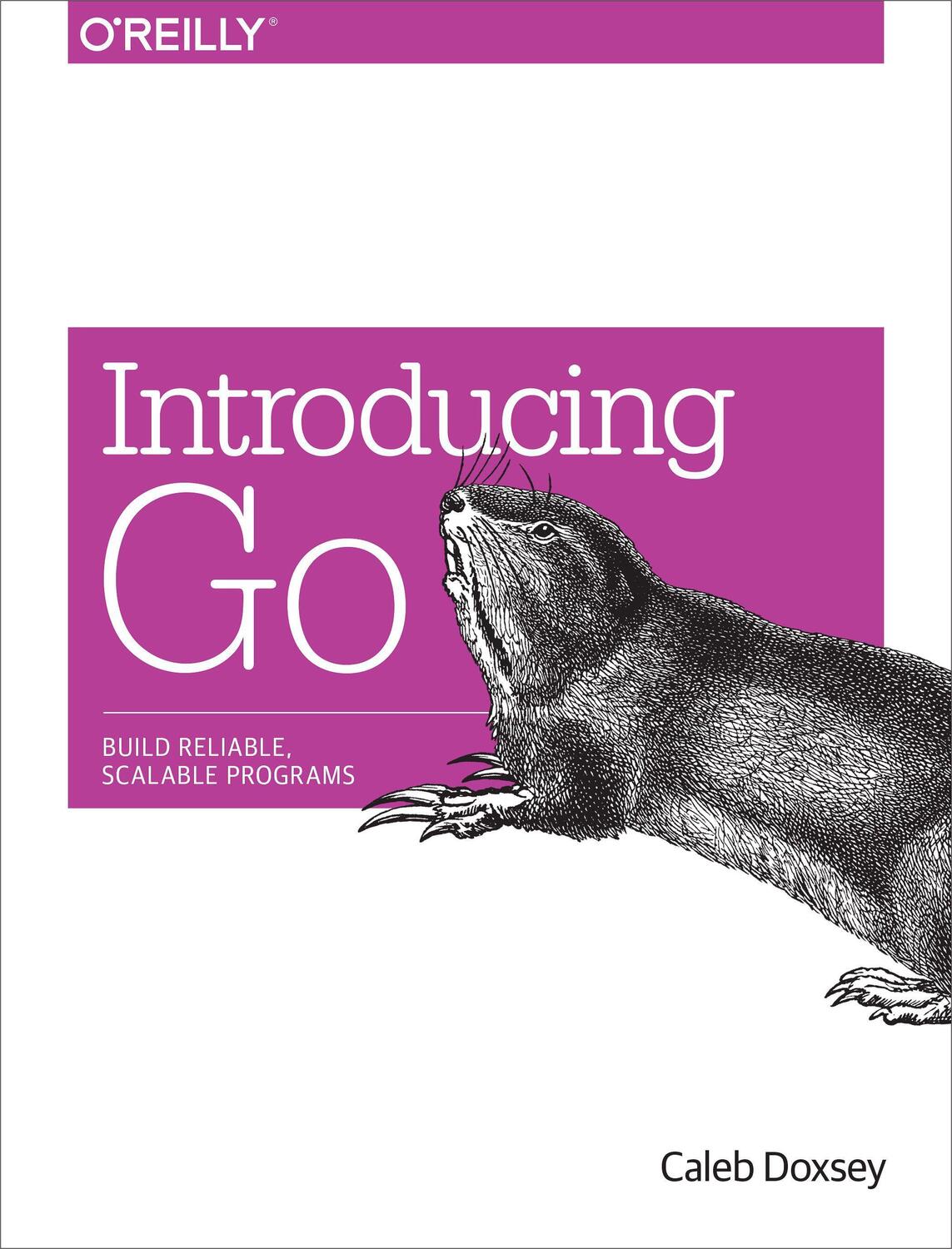 Cover: 9781491941959 | Introducing Go | A Developer Resource | Caleb Doxsey | Taschenbuch