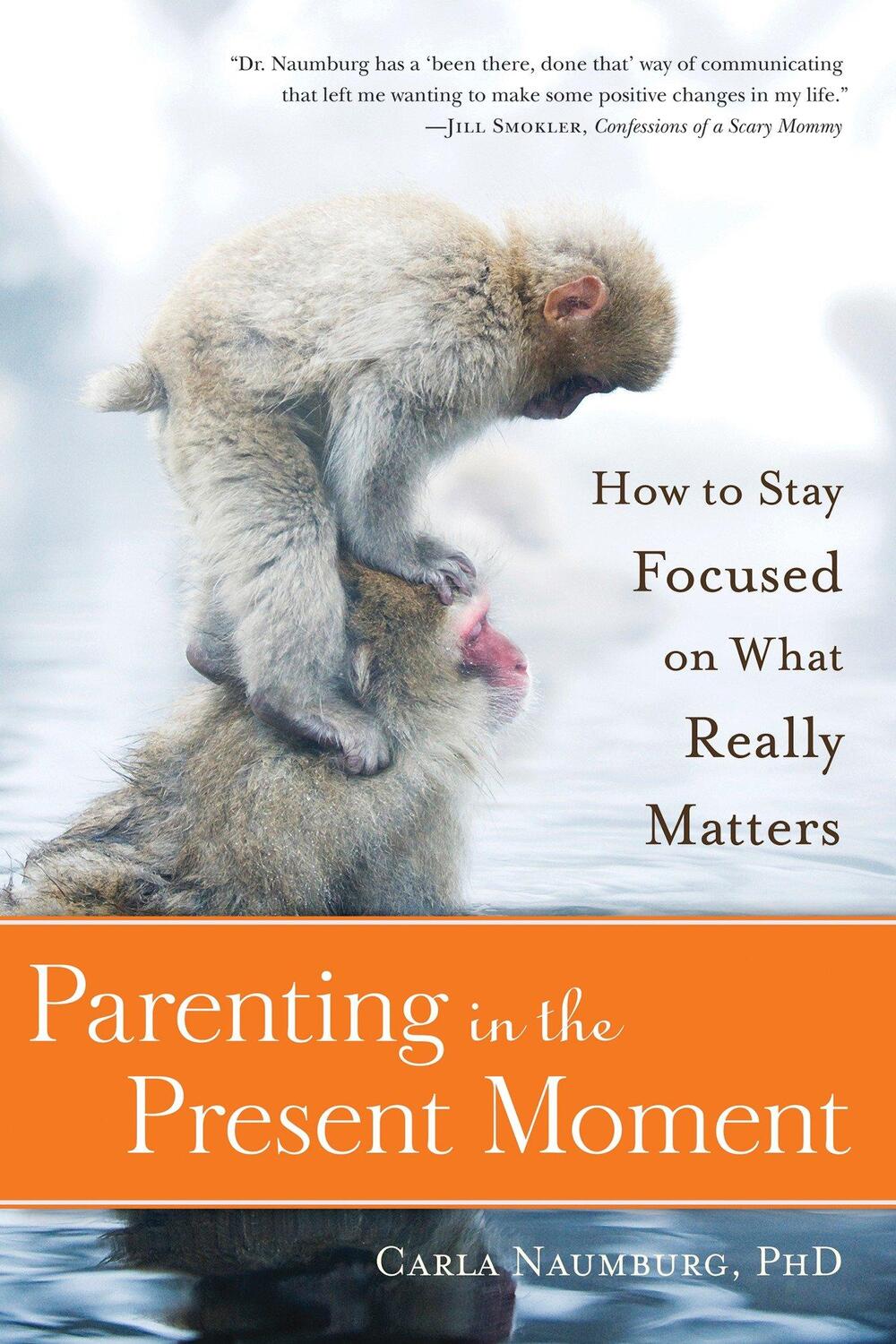 Cover: 9781937006839 | Parenting in the Present Moment: How to Stay Focused on What Really...