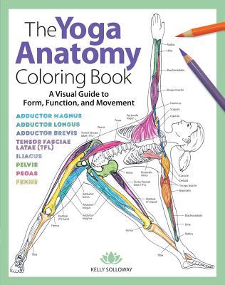 Cover: 9781640210219 | Yoga Anatomy Coloring Book | Kelly Solloway | Taschenbuch | Englisch