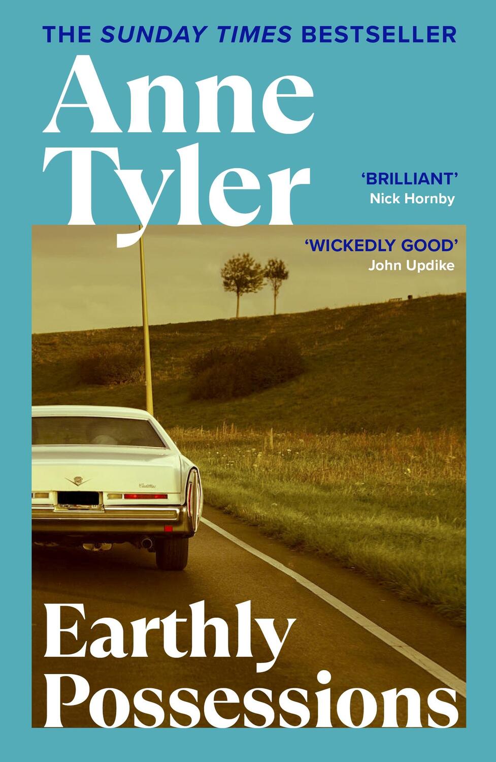 Cover: 9780099463702 | Earthly Possessions | Anne Tyler | Taschenbuch | Englisch | 1997