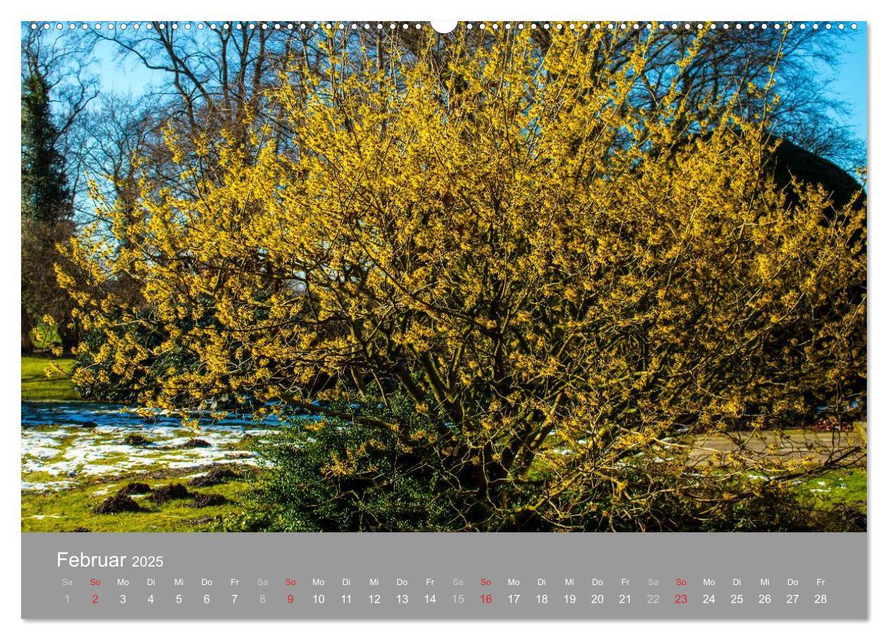 Bild: 9783435608850 | Romantische Garten-Paradiese (Wandkalender 2025 DIN A2 quer),...