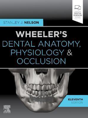 Cover: 9780323638784 | Wheeler's Dental Anatomy, Physiology and Occlusion | Stanley J. Nelson