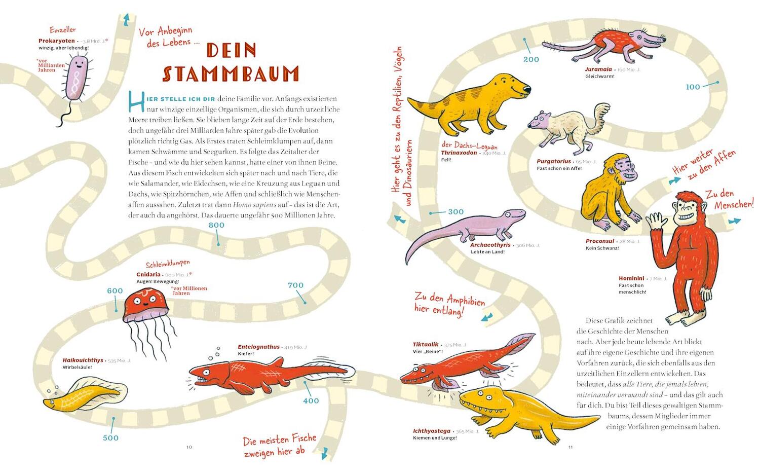 Bild: 9783957287939 | Das Museum der unnützen Körperteile | Rachel Poliquin | Buch | 80 S.