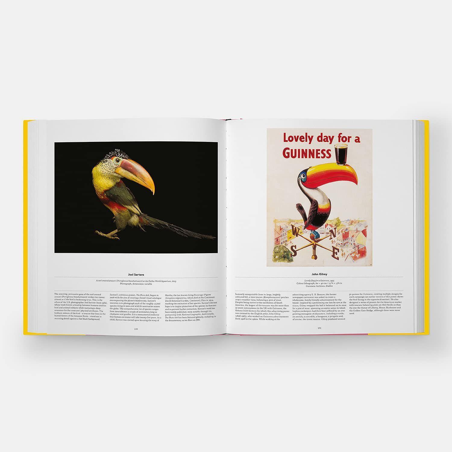 Bild: 9781838661403 | Bird | Exploring the Winged World | Katrina van Grouw (u. a.) | Buch