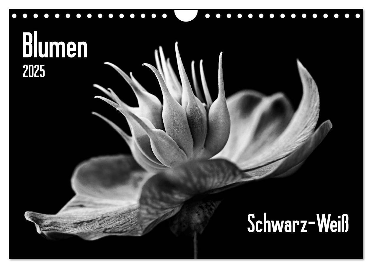 Cover: 9783435643356 | Blumen 2025, Schwarz-Weiß (Wandkalender 2025 DIN A4 quer), CALVENDO...