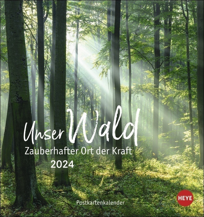 Cover: 9783756403073 | Unser Wald Postkartenkalender 2024. Beeindruckende Detailfotos in...