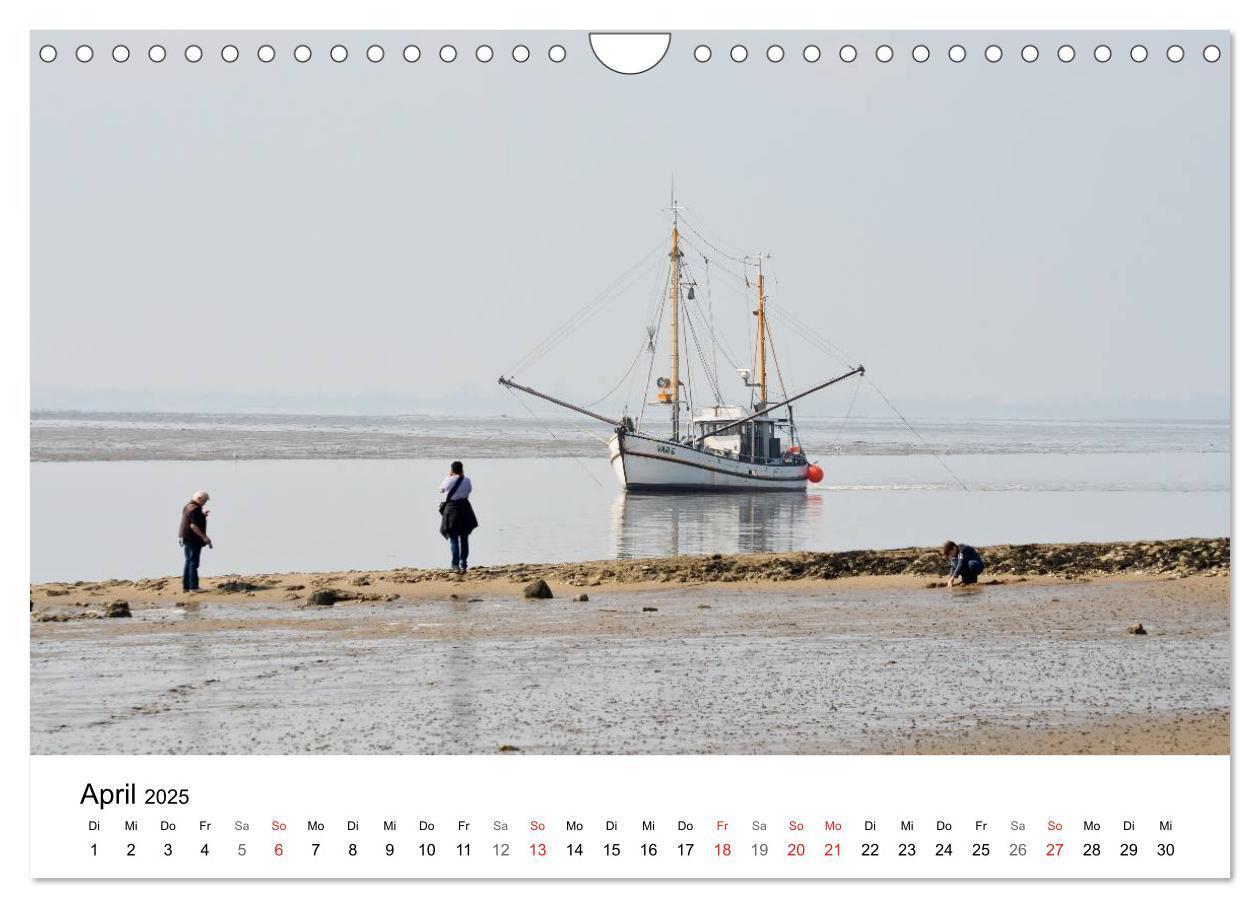 Bild: 9783435633593 | Maritime Impressionen Wilhelmshaven (Wandkalender 2025 DIN A4...