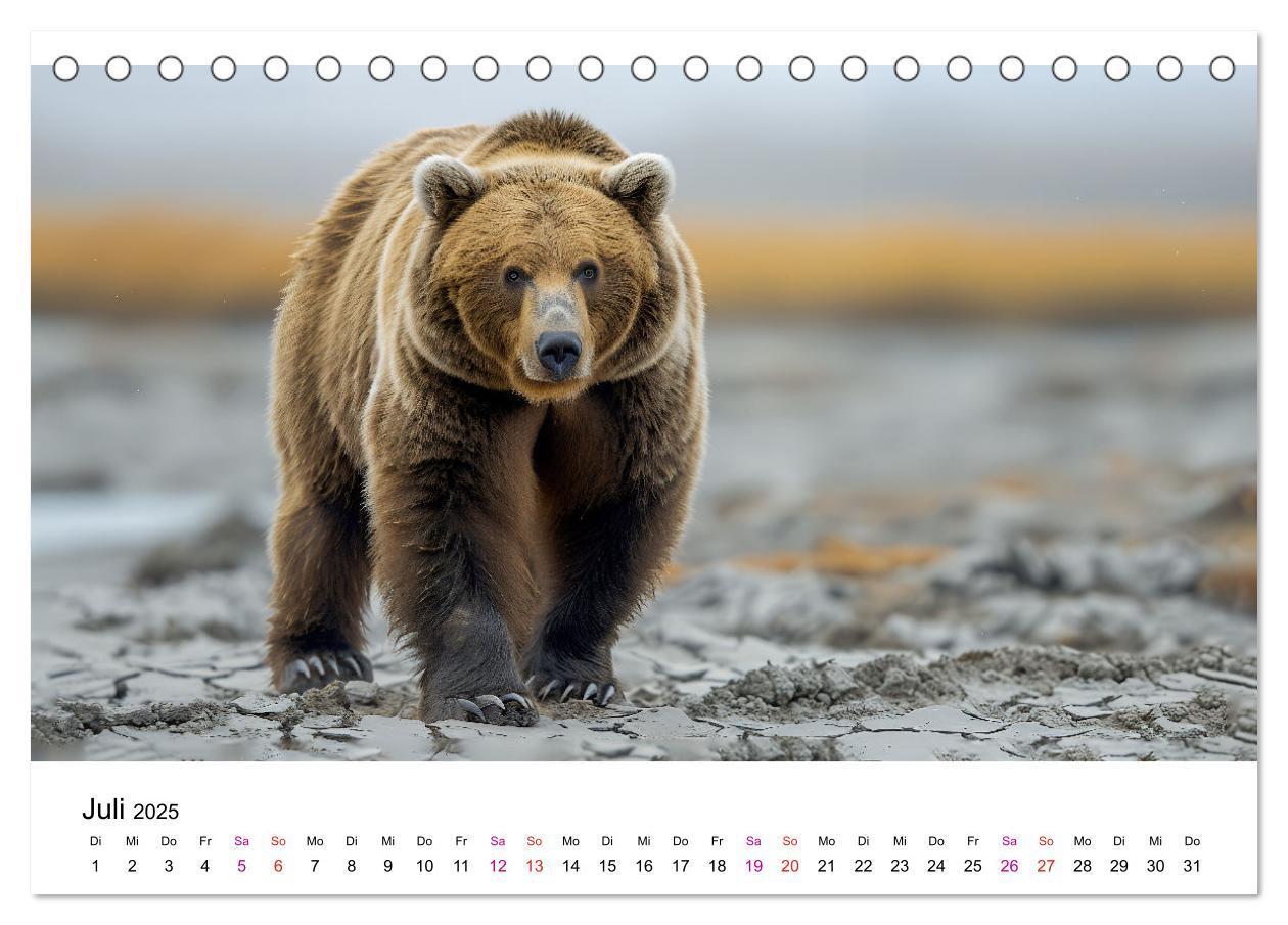 Bild: 9783457170465 | Bären - gefährlich nett (Tischkalender 2025 DIN A5 quer), CALVENDO...