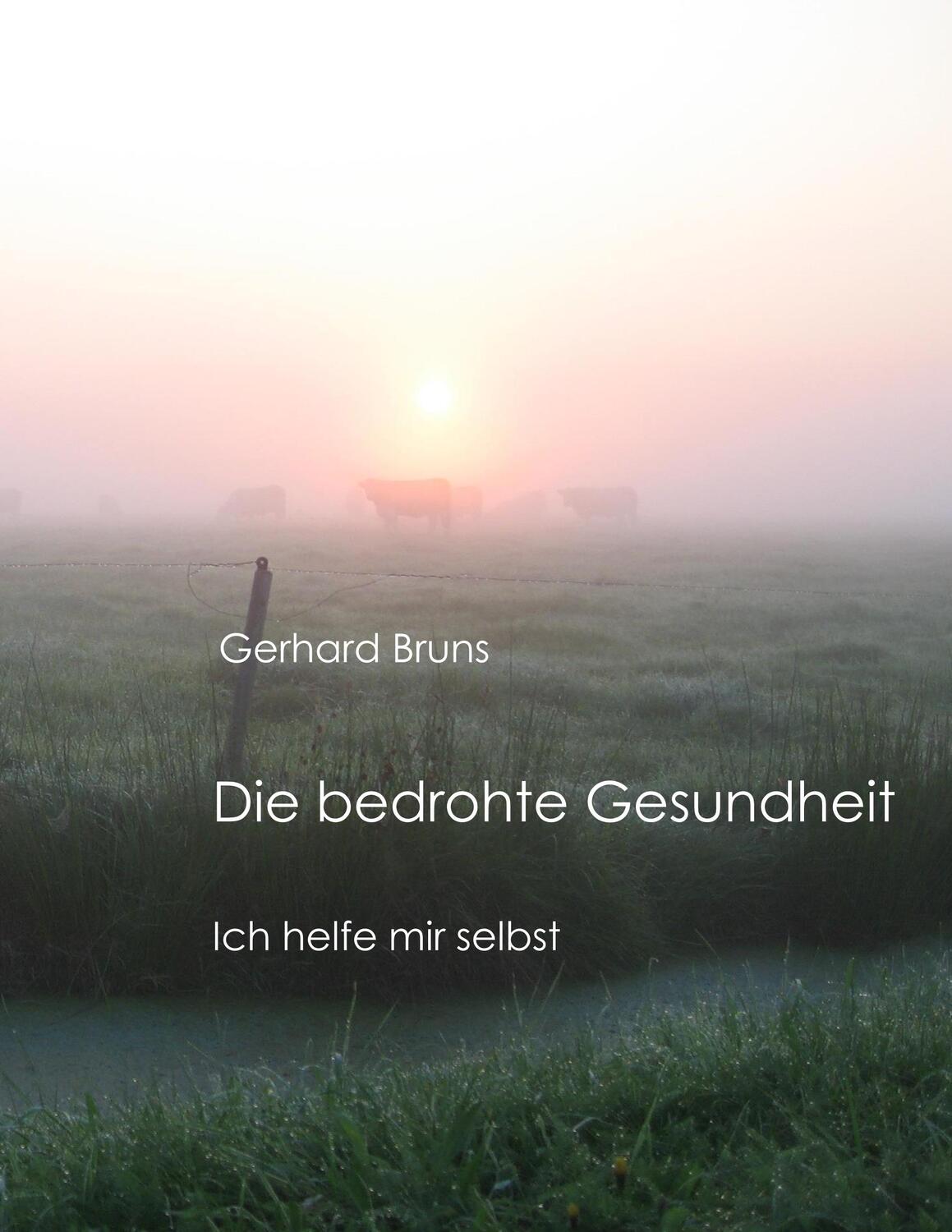 Cover: 9783752891744 | Die bedrohte Gesundheit | Ich helfe mir selbst | Gerhard Bruns | Buch