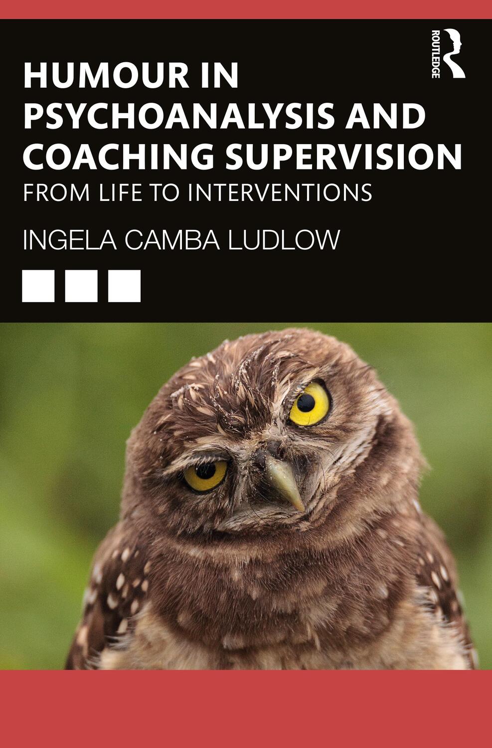 Cover: 9780367723095 | Humour in Psychoanalysis and Coaching Supervision | Ludlow | Buch
